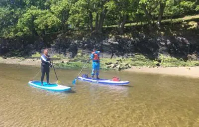 Two individuals stand-up paddleboarding on calm water with trees in the background.